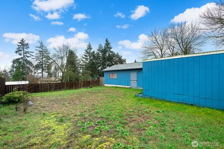 Or build some raised beds to take advantage of the natural light.