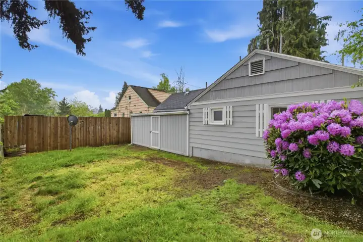 Back yard