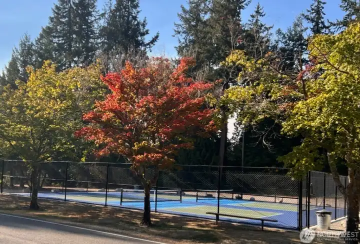 Tennis and Pickleball courts across the street from Clearlake