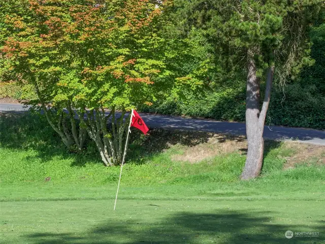 Golf Course