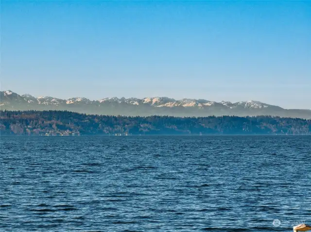 This exceptional home offers unparalleled panoramic views of Puget Sound and the Olympic Mountain Range. Whether you're sipping coffee at sunrise or enjoying an evening sunset, this home offers a connection to the ocean and its incredible marine life.