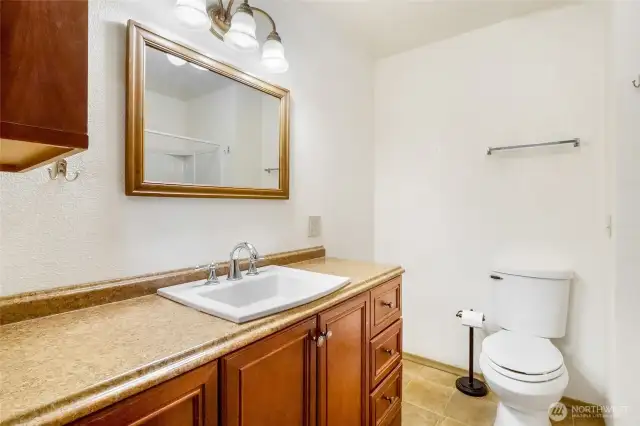 Main Floor Guest Bathroom