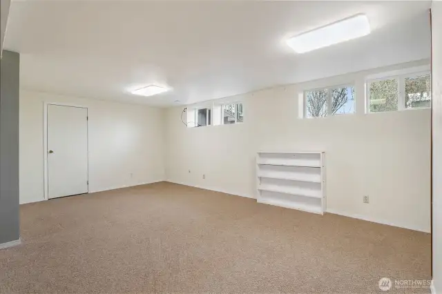 Basement Rec Room