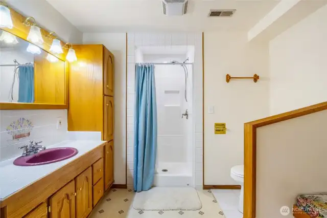 Lower Level Bathroom