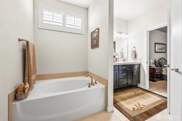 tub in primary bath