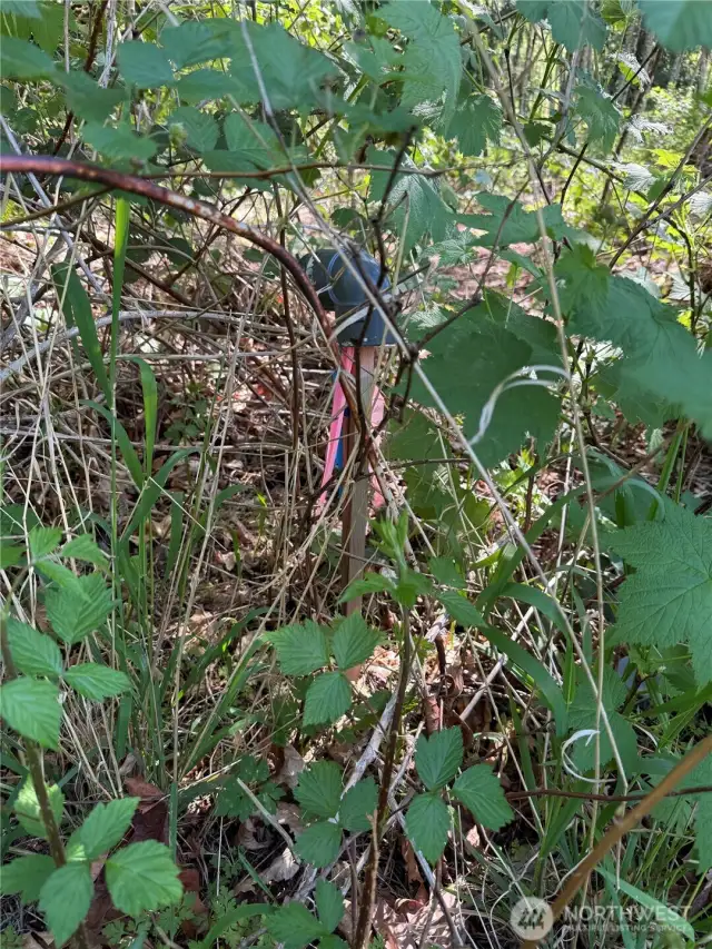 Close up view of the southwest boundary