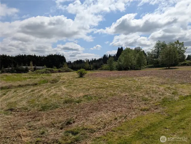 View from easement driveway looking Southeast