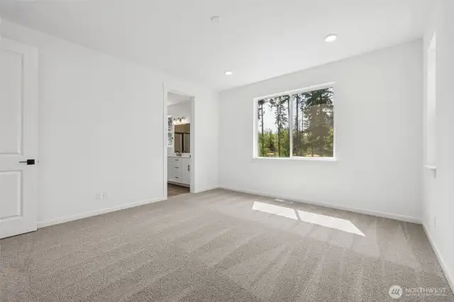 Actual house photos!
