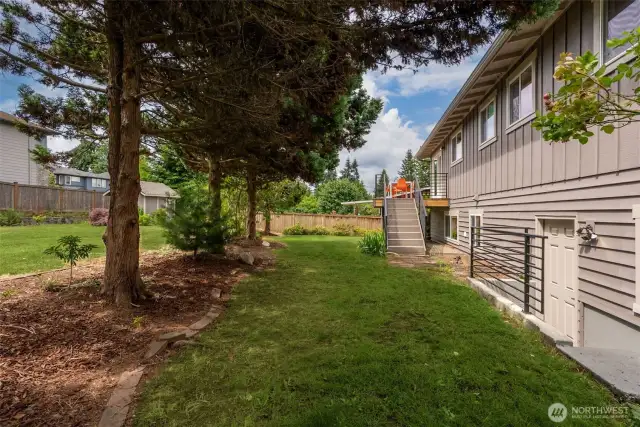 Yes, the yard to the left of these trees is also part of the property!