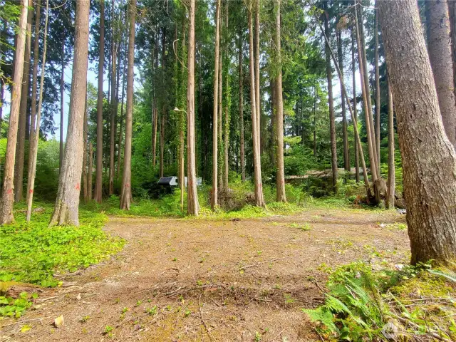 main opening / camping area.