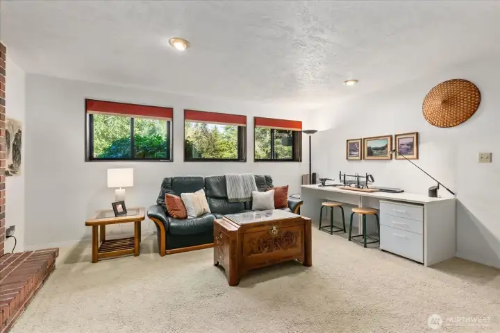 Lower family room with Gas fireplace
