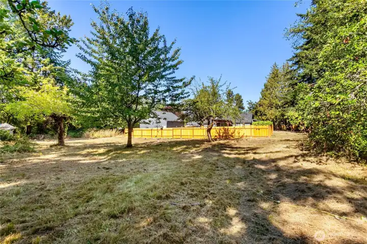 Yardspace Behind Structures