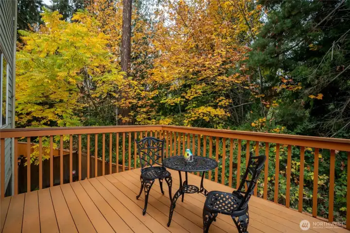 Private upper deck surrounded by trees—perfect for morning coffee or relaxing in a peaceful natural setting.