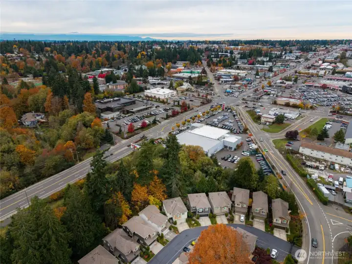 Aerial view of gated Village at Miller Creek community surrounded by lush evergreens
