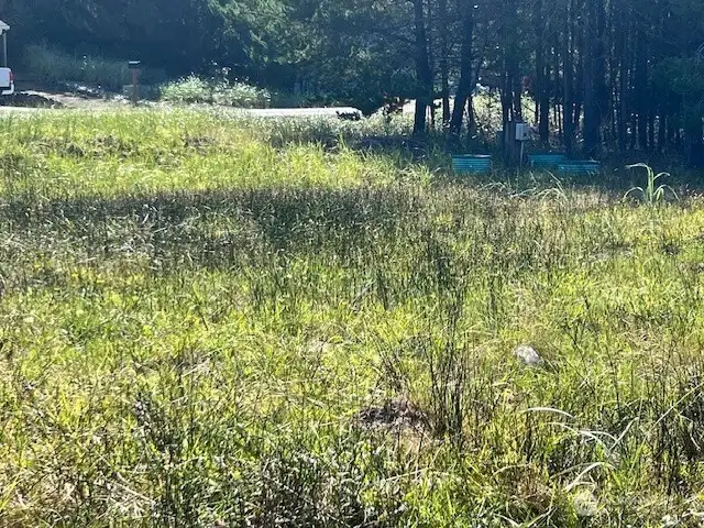 Lots of room for RV'ing or building your beach home. 3-bedroom septic, power and water on the property.