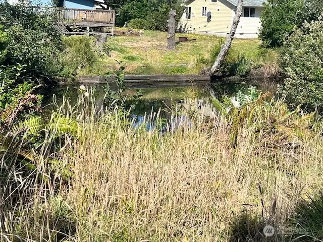 Another view of the canal on the west of this property.