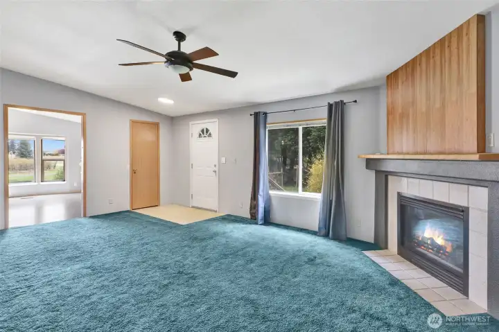 ADU living with gas fireplace