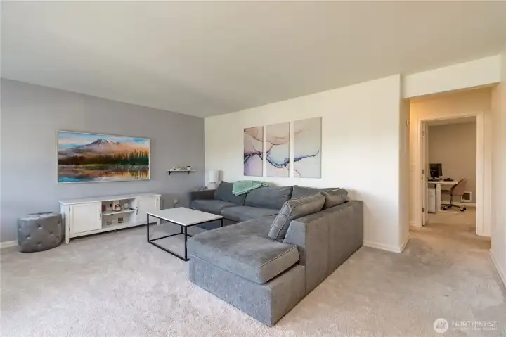 Living rooms gets fantastic natural light