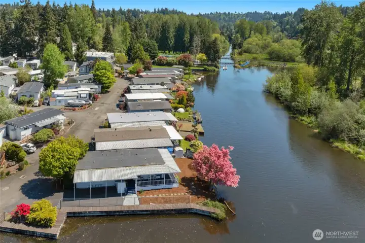 Enjoy the wildlife of the Sammamish river.