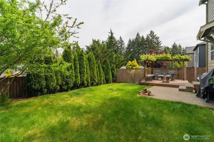 Lush Backyard with fruit trees