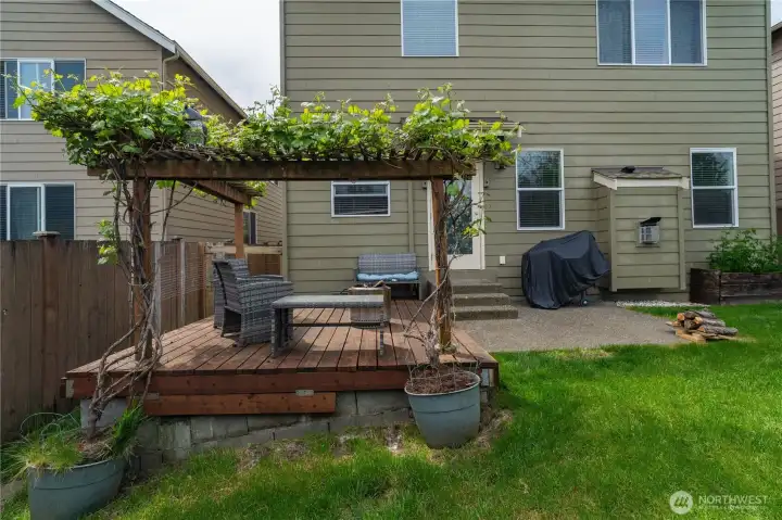 View from back fence