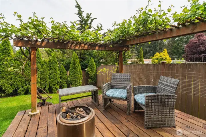 Custom Deck with grape vines