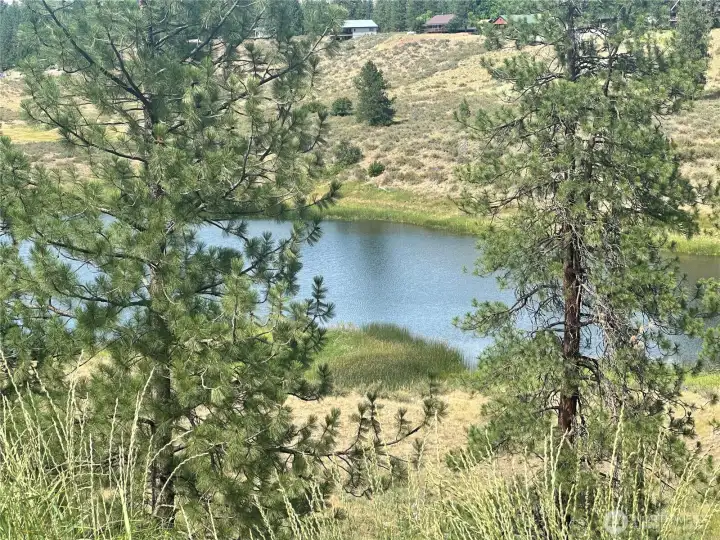 paddleboard, swim and fish minutes from property