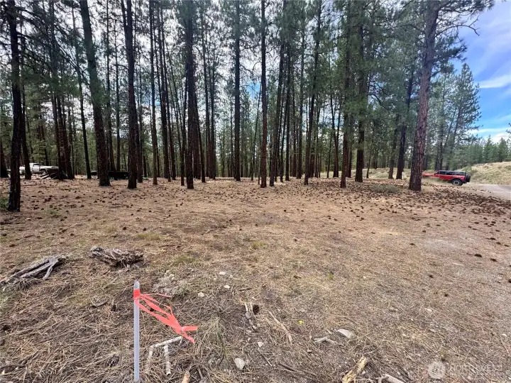 North East Corner