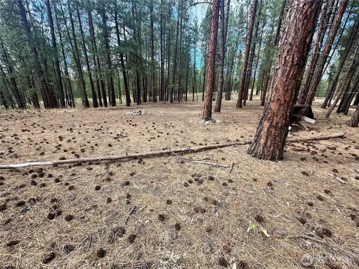 Large, flat area