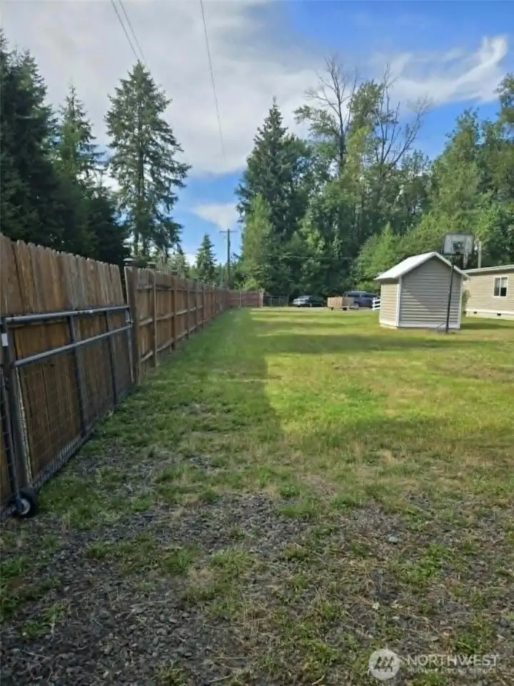 Across the front yard