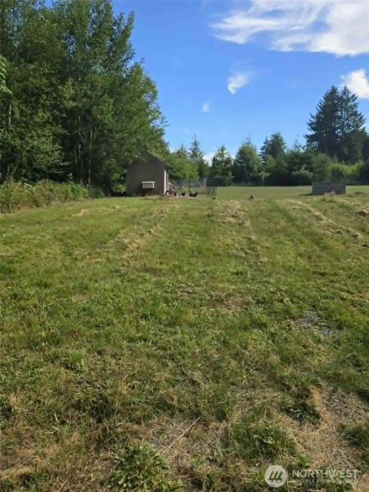 Across the back of the yard