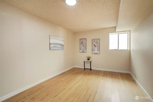 Lower level basement with new vinyl plank flooring