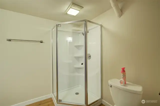 new shower in basement bathroom