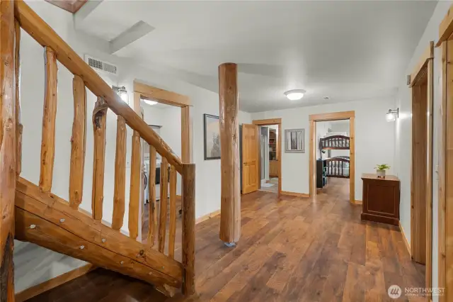 Daylight Basement