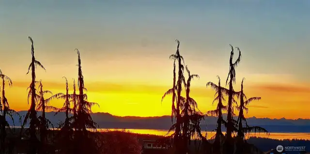 Amazing views as this Home sits at one of the highest points of Camano Island - with views of Mt. Baker, the Cascade Mountains, Triangle Cove, Port Susan Bay - all the way south to Everett.