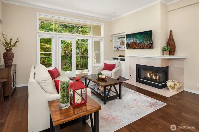 Living Room with Raised Ceiling