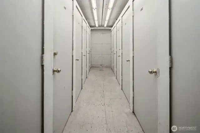 Storage Units in Garage