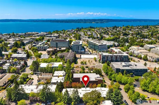 Just Blocks to Downtown Kirkland