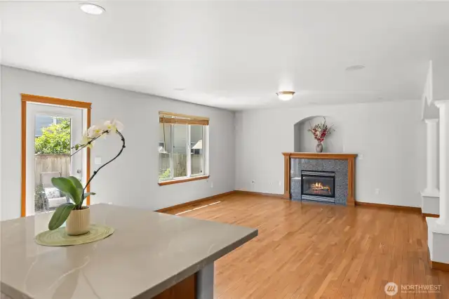 Gas fireplace