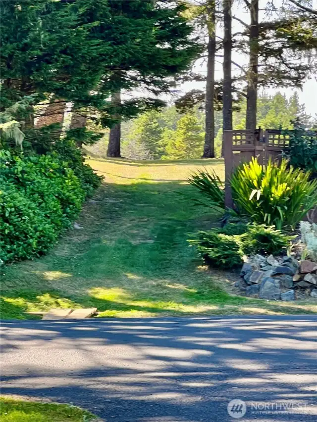 Path to beach through pines, just across the street (Ocean Beach Blvd)