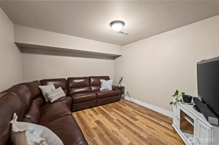 Cozy downstairs family room