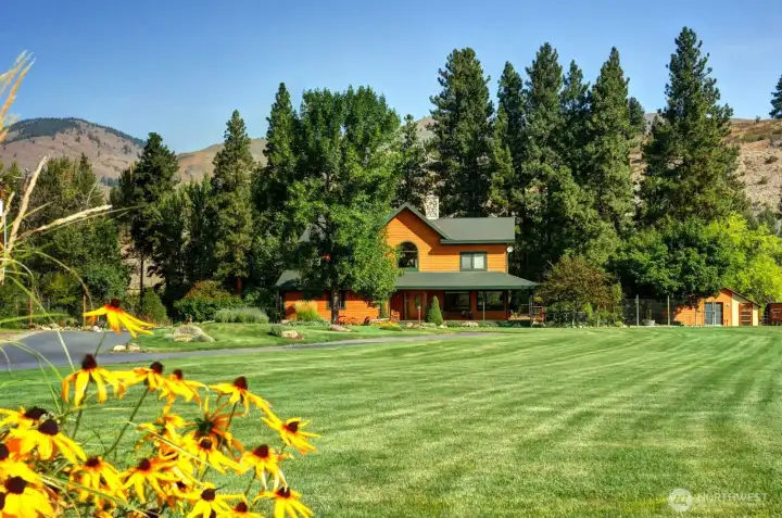 Summer landscape of grass and flowers. Keeps home cool.
