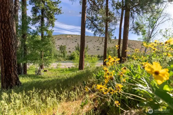 River trail meanders to the waterfront through wildflowers, Aspens and Pine.