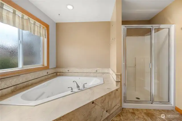 Primary bath with jetted tub