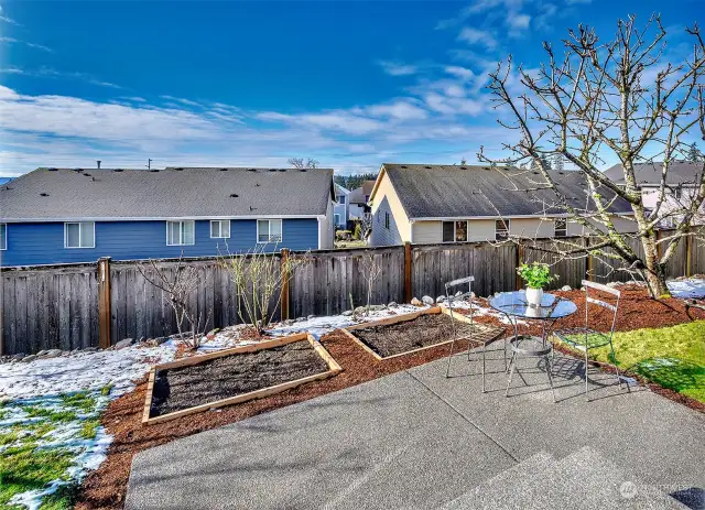 Garden Boxes, fruit trees, and patio