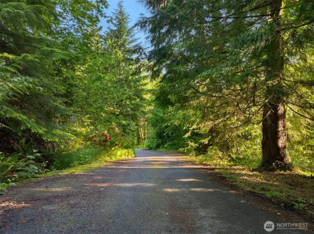 Welcome to Your Future Home - Fully Paved Entrance