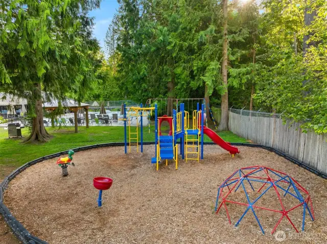 Community Park