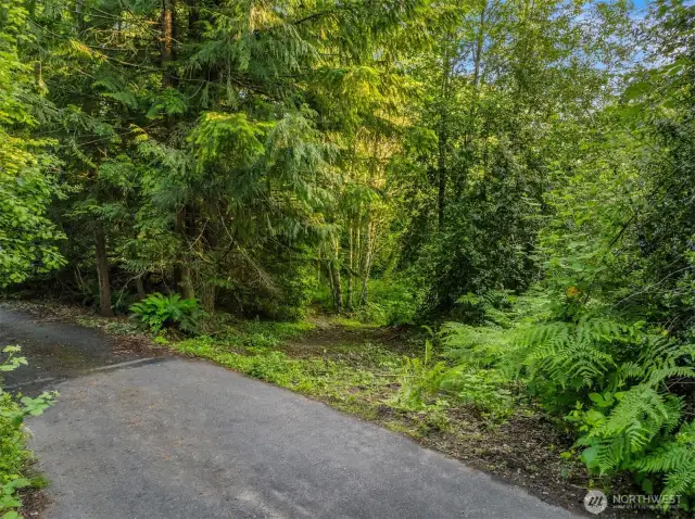 Imagine the Driveway to Your Future Home Here