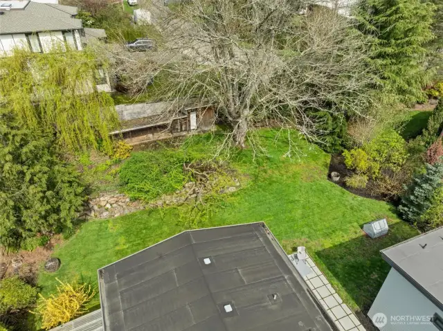 aerial shot of backyard