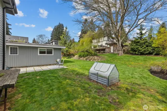 Large level & buildable backyard